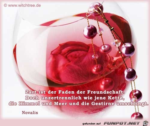 Freund 1 Freund 1