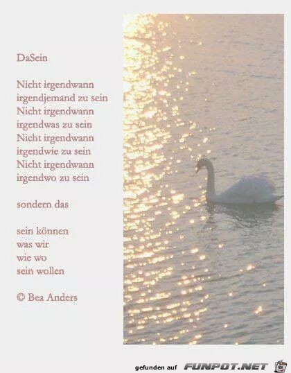 DaSein DaSein
