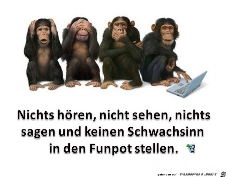 Schwachsinn Schwachsinn