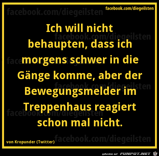 diegeilsten morgens diegeilsten morgens