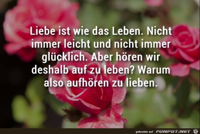 lieben