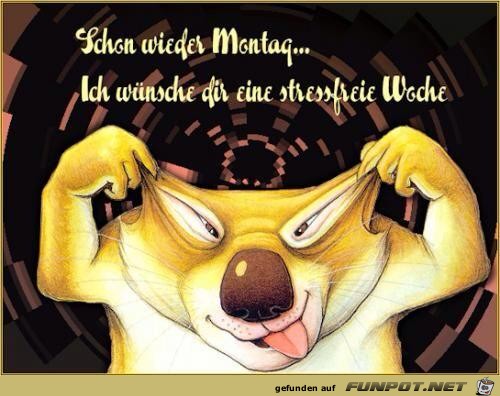 fb3 montag