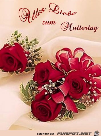 alles liebe alles liebe