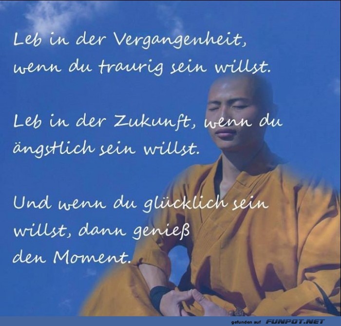 10 sch�ne Spr�che und Lebensweisheiten aus...