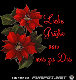 liebe graeuese 2 liebe graeuese 2