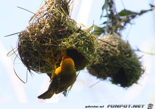 image017171817 image017171817