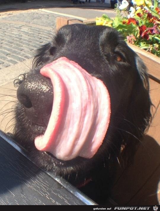 Das war lecker Das war lecker