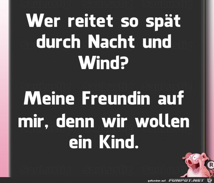 reiten reiten