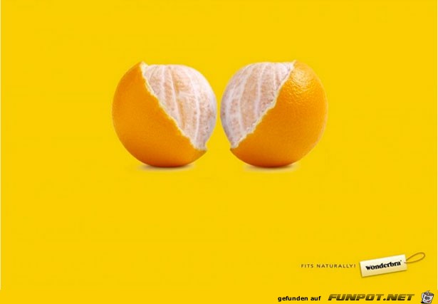 Oranges Oranges