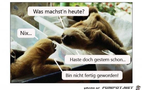was machst n heute was machst n heute