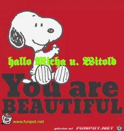 hallo Micha u Witold hallo Micha u Witold