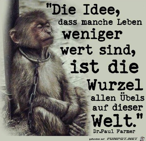 Die Idee