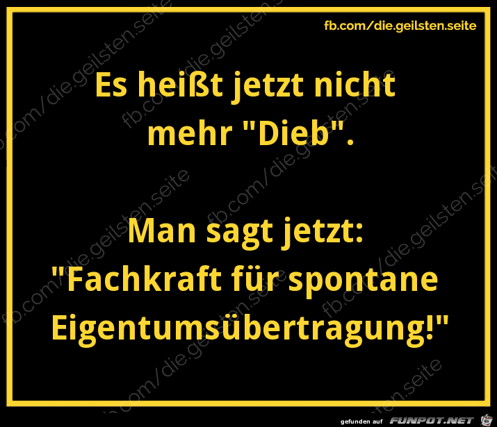 Fachkraft Fachkraft