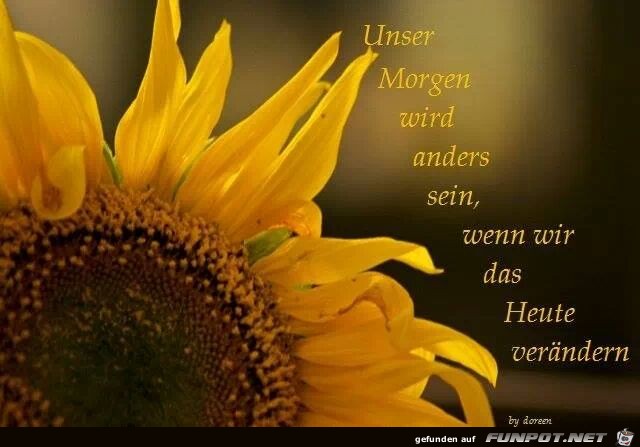 unser morgen wird anders sein