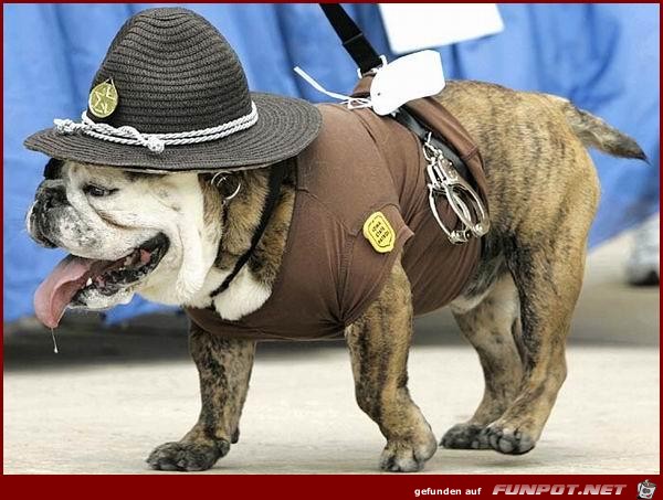 Sheriff Doggy