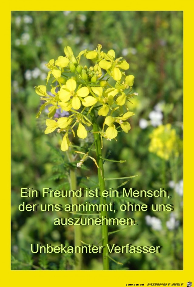 Ein Freund ist