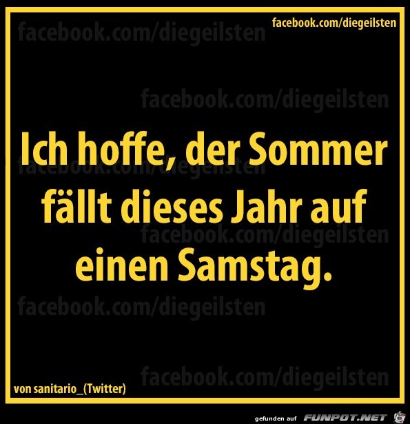 diegeilsten Sommer diegeilsten Sommer