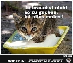 meins meins