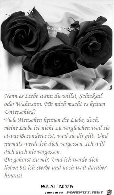 nimm die Liebe wenn 