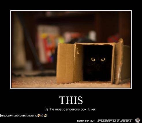 Cats 001 Cats 001
