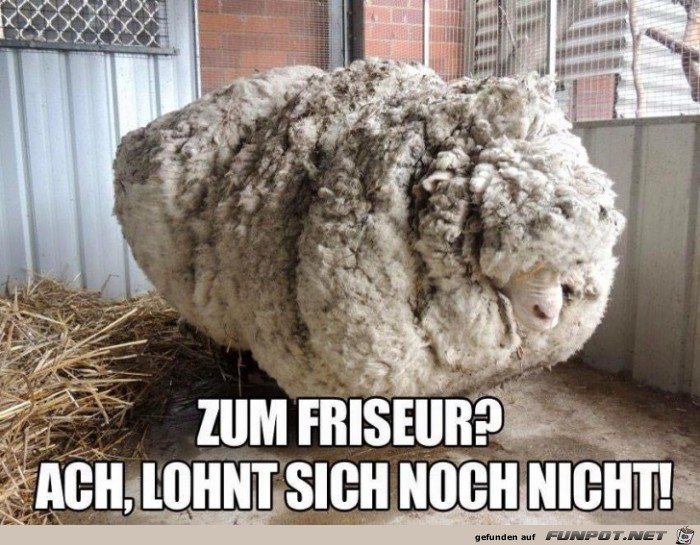 Zum Friseur