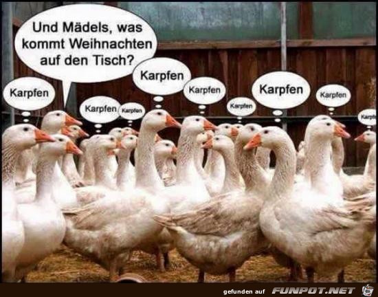 und Maedels was kommt Weihnachten und Maedels was kommt Weihnachten
