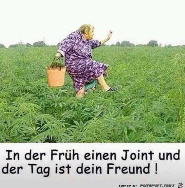 In der Frueh