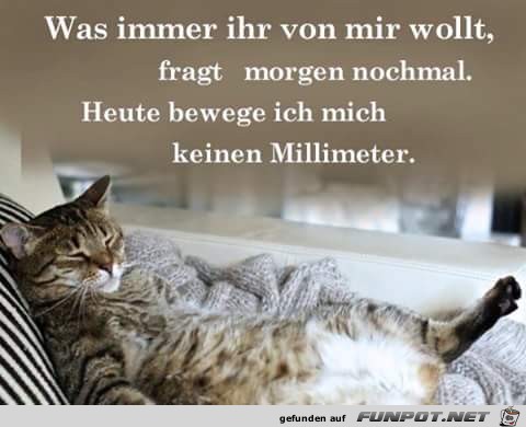 Was immer ihr von mir wollt Was immer ihr von mir wollt
