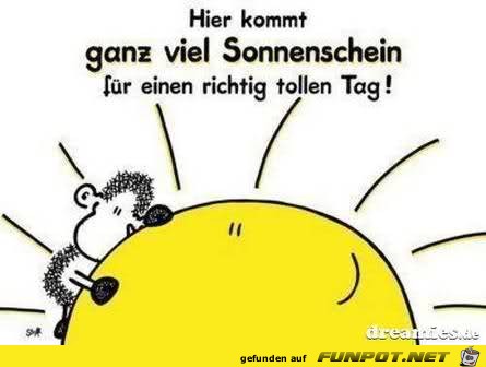 Viel Sonnenschein