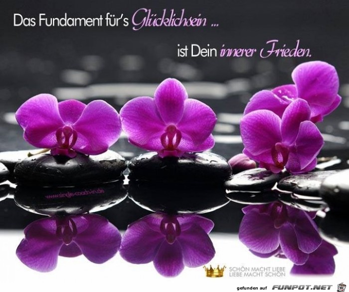 Fundament Fundament