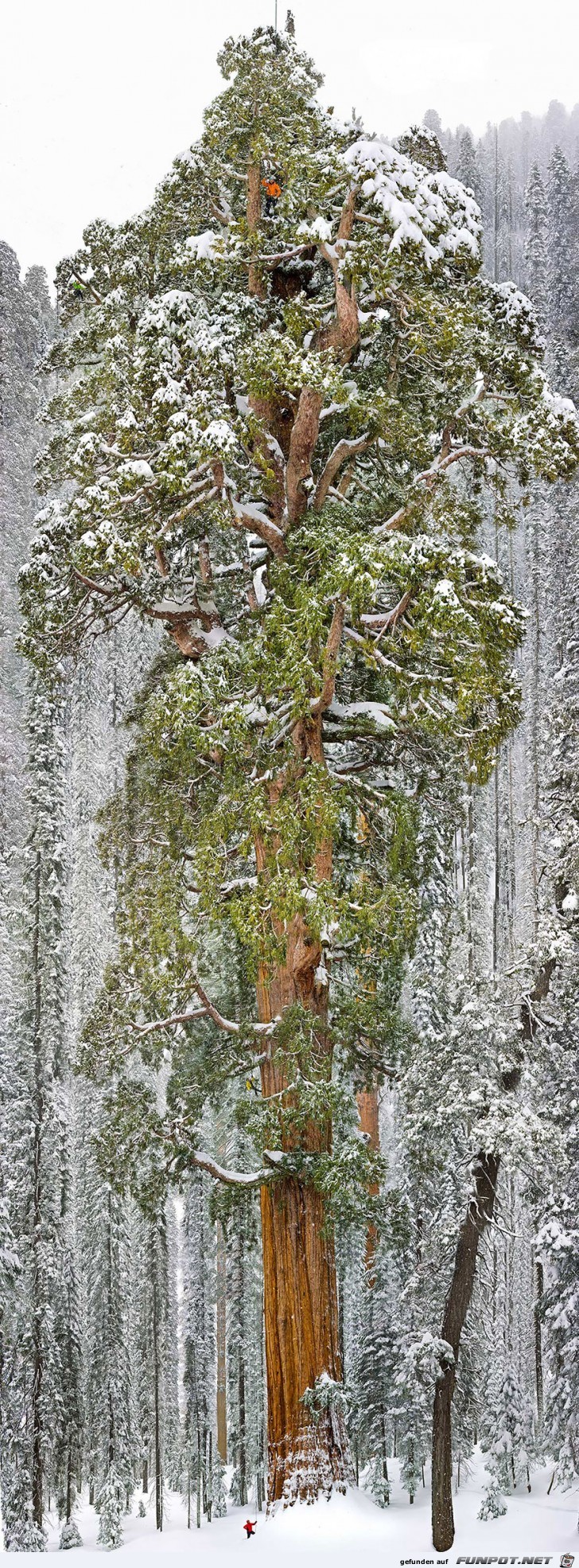 Kleiner Mensch - mchtige Natur!