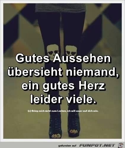 Gutes Aussehen... Gutes Aussehen...