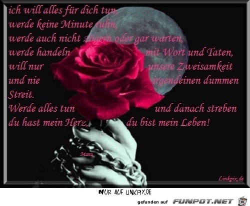 ich will alles fuer dich tun ich will alles fuer dich tun