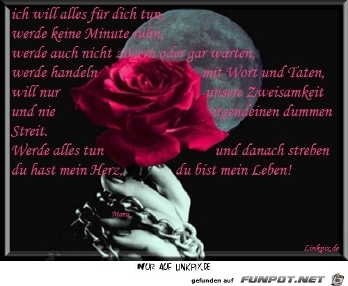 ich will alles fuer dich tun