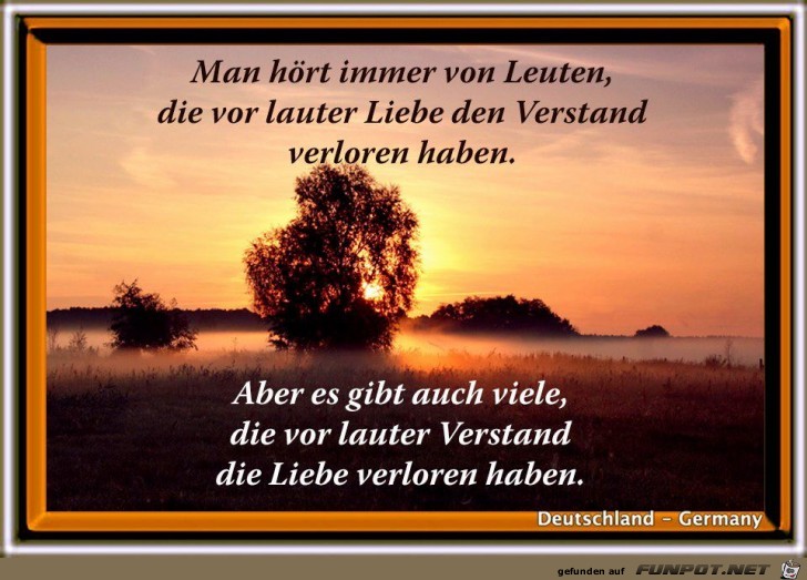 Verstand Verstand