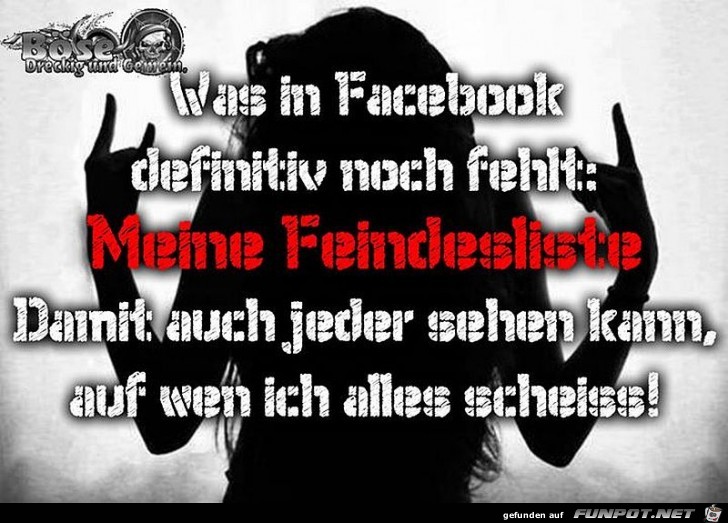 Meine Feindesliste Meine Feindesliste