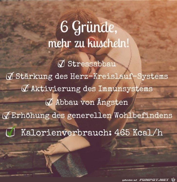 6 Gründe 6 Gründe