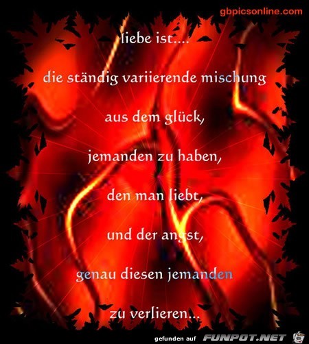 Liebe ist Liebe ist