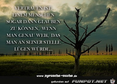 vertrauen-ist vertrauen-ist