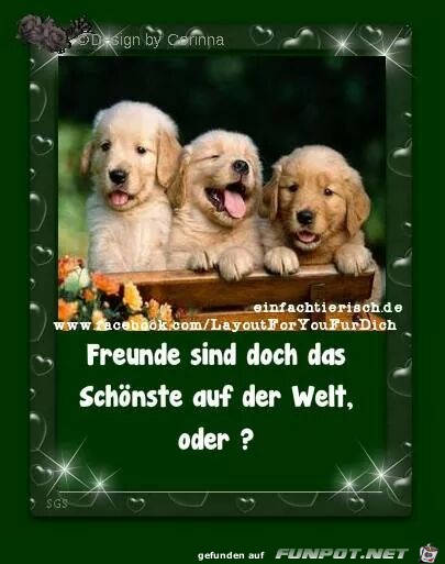 freunde 2