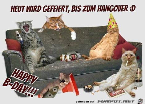 Heute wird gefeiert Heute wird gefeiert