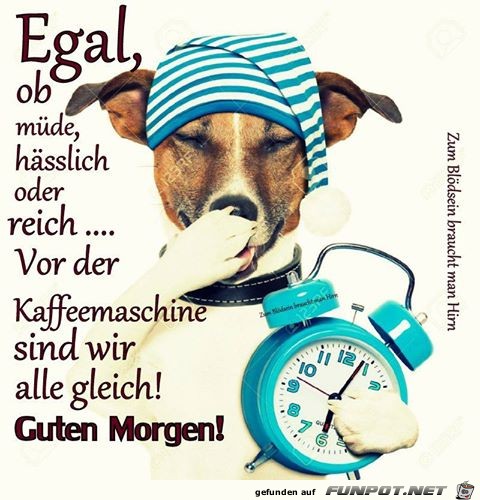 Egal