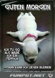 Guten Morgen... Guten Morgen...