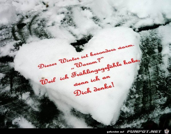 Febimaus-Winterliebe-072881