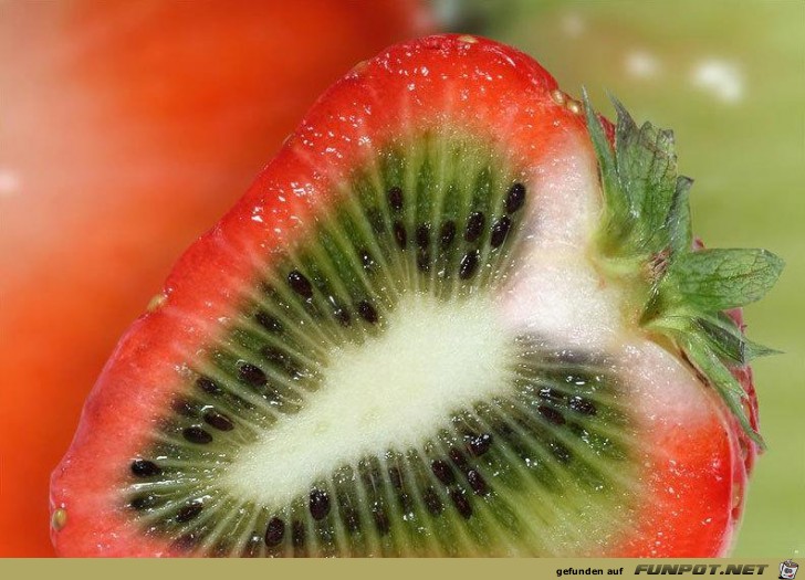 Kiwierdbeere Kiwierdbeere
