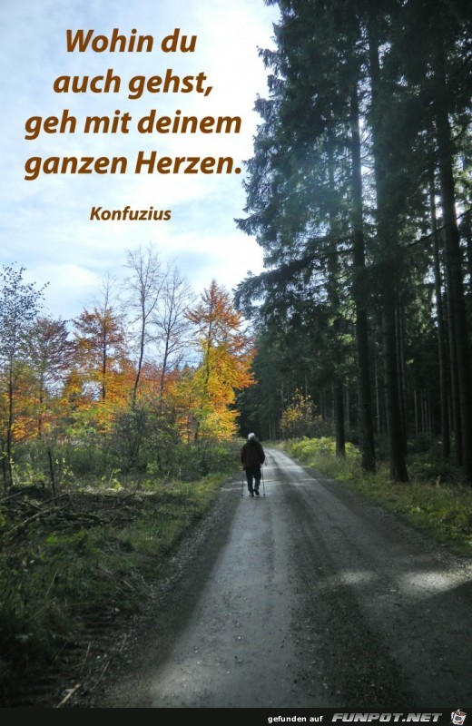 wohin du auch gehst wohin du auch gehst
