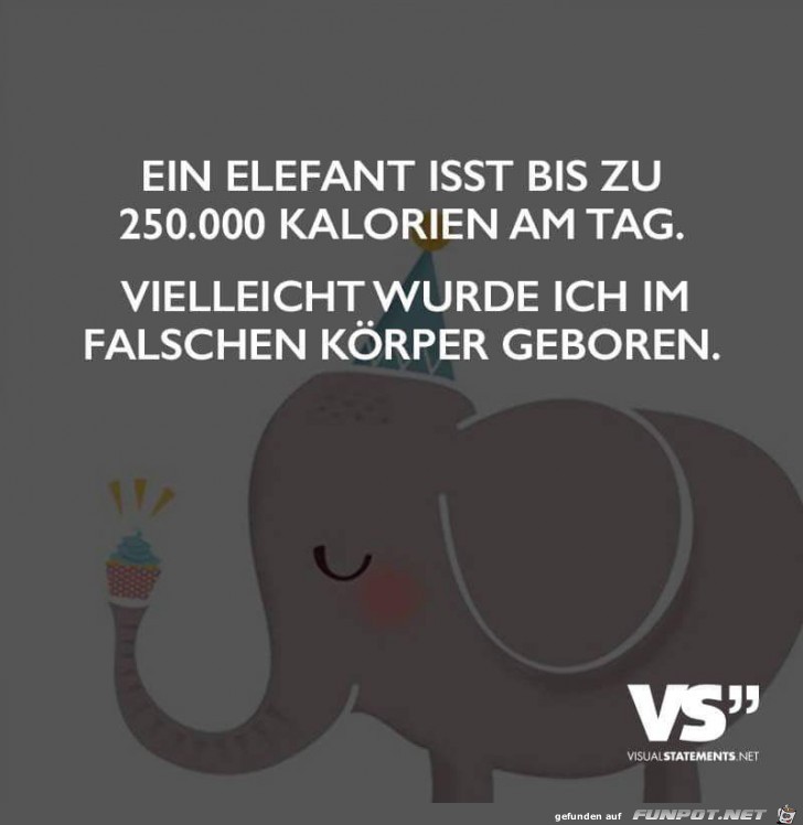 Elefant