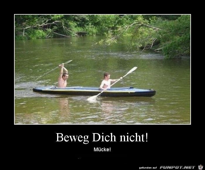 Vorsicht Muecke Vorsicht Muecke
