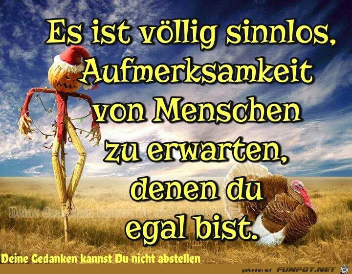 Egal Egal