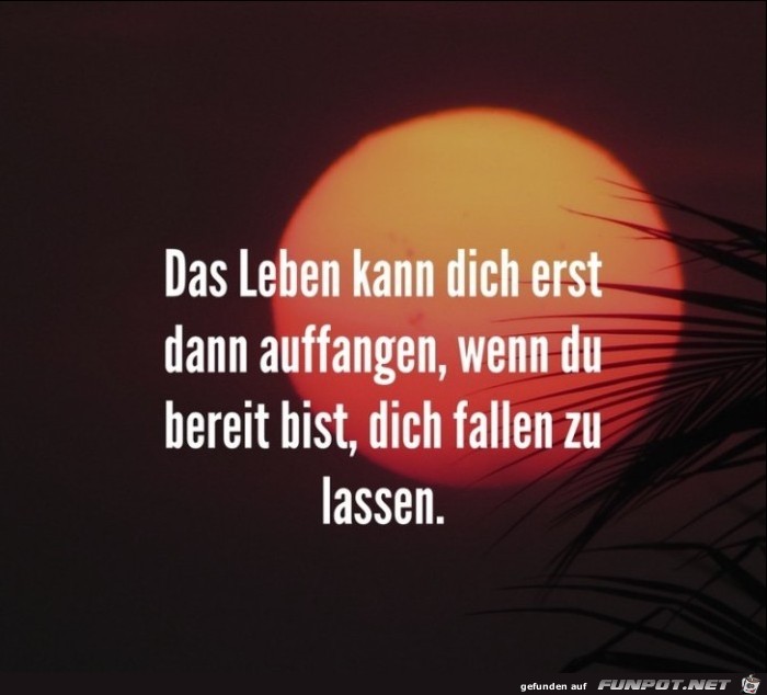 das-leben-kann-dich-erst-dann-auffangen-